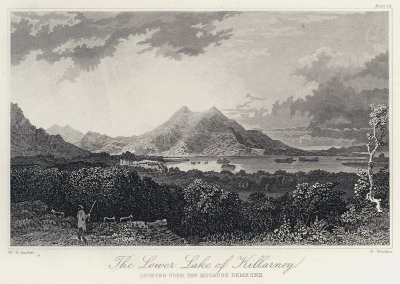 O Lago Inferior de Killarney, olhando sobre o Mucruss Demesne (gravura) de William Henry Bartlett