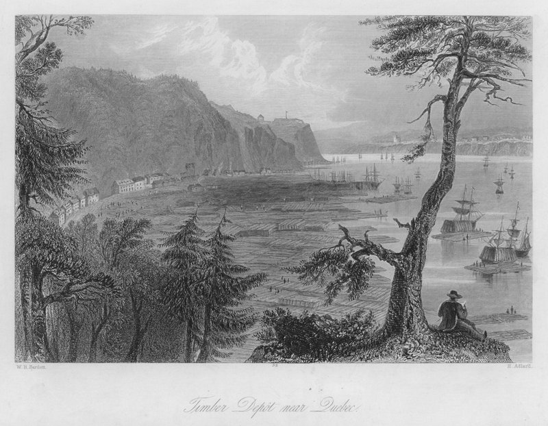 Depósito de madeira perto de Quebec (gravura) de William Henry Bartlett