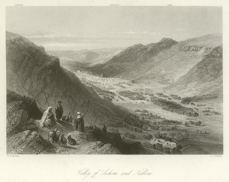 Vale da Sichem e Nablus, Palestina de William Henry Bartlett