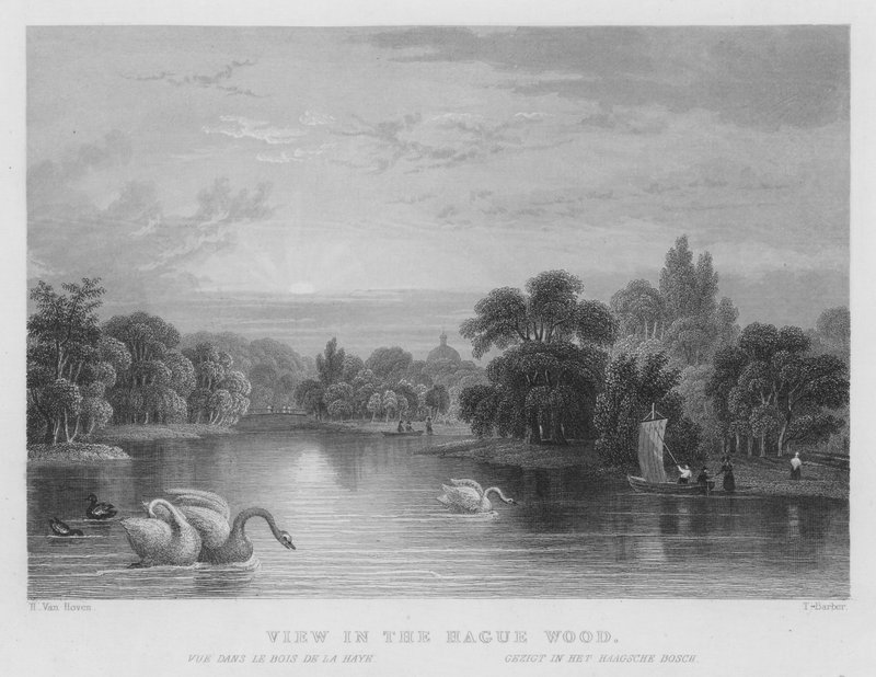 Vista em Madeira de Haia (gravura) de William Henry Bartlett
