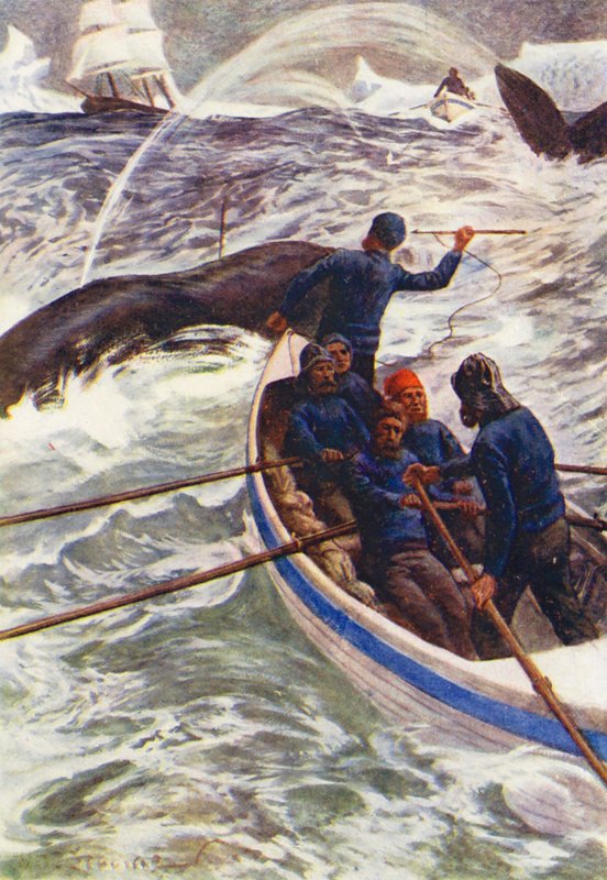 Ilustração para O Mundo do Gelo ou o Cruzeiro Baleeiro do Golfinho (litografia a cores) de William Henry Charles Groome