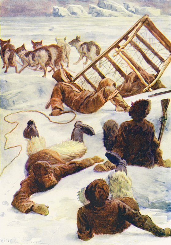 Ilustração para O Mundo do Gelo ou o Cruzeiro Baleeiro do Golfinho (litografia a cores) de William Henry Charles Groome
