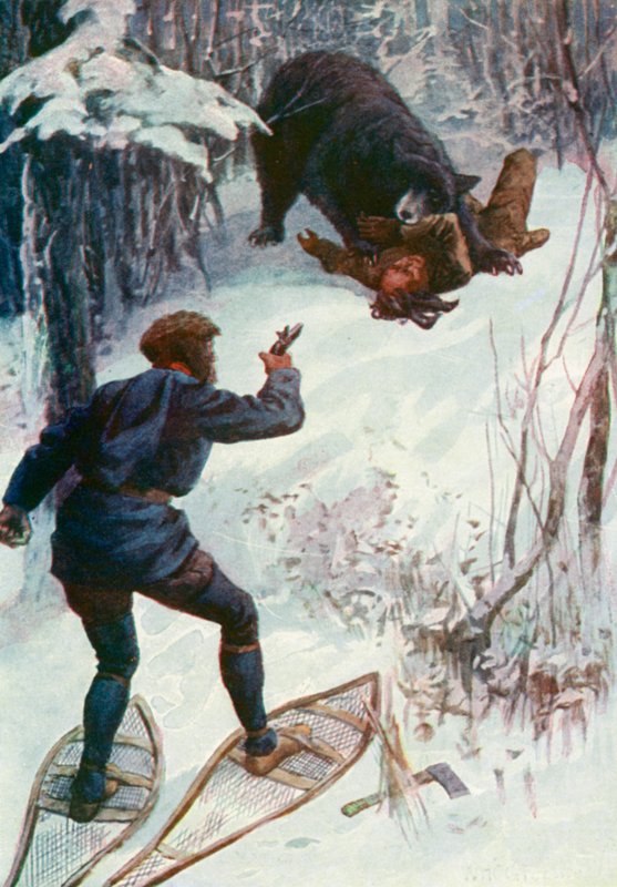 O urso estava em cima dele, segurando um dos braços na boca de William Henry Charles Groome