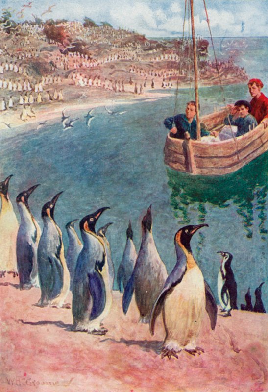 Nós olhamos para os pássaros com surpresa e prazer, eles voltando nosso olhar com interesse de William Henry Charles Groome