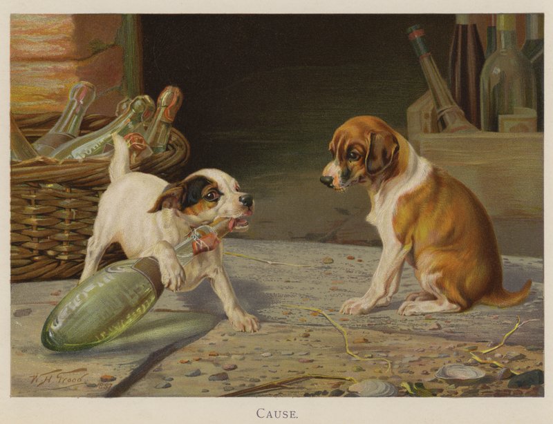 Causa (cromolito) de William Henry Hamilton Trood