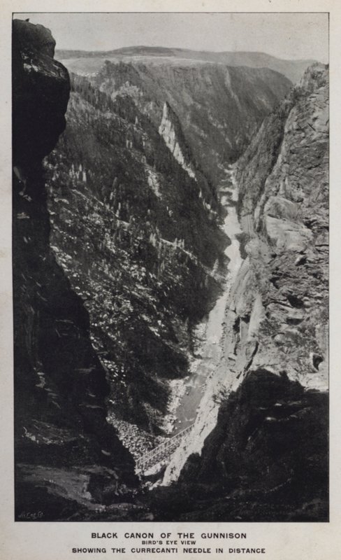 Canyons of Colorado: Black Canon of the Gunnison, Bird