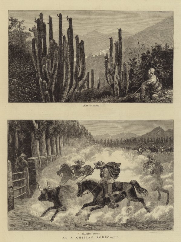 Em um rodeio chileno, III de William Henry James Boot