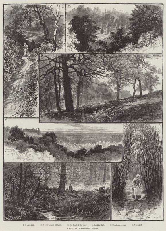 Esboços em Highgate Woods de William Henry James Boot