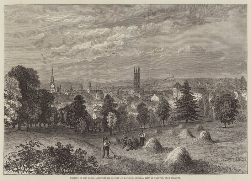 Reunião da Royal Agricultural Society em Taunton, General View of Taunton, de Belmont de William Henry Pike