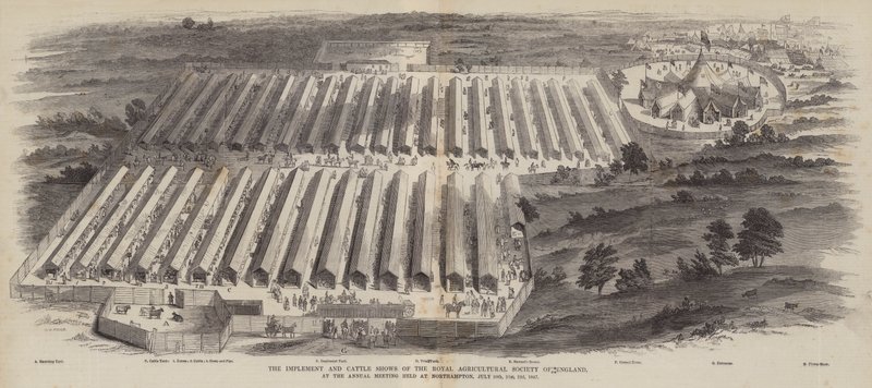O Implemento e os Shows de Gado da Royal Agricultural Society of England, na Reunião Anual realizada em Northampton, 20, 21, 22 de julho de 1847 de William Henry Pike