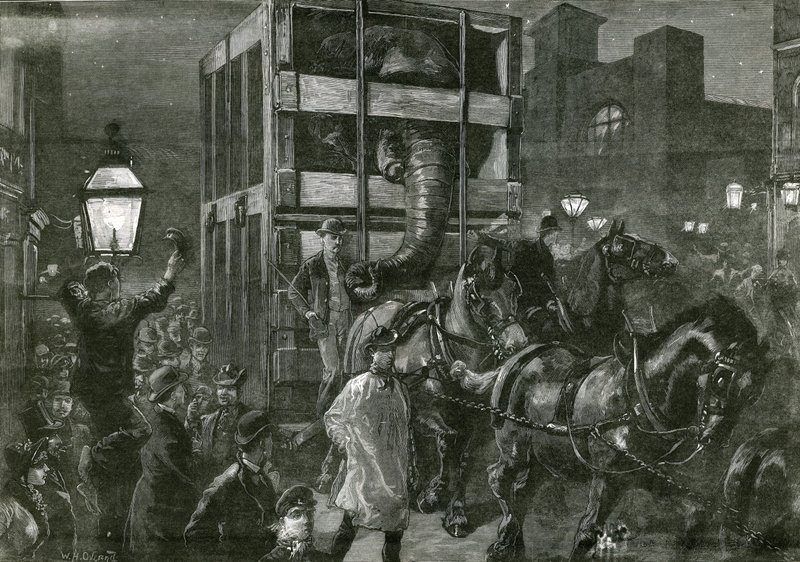 Jumbo&39;s Journey to the Docks de William Heysham Overend