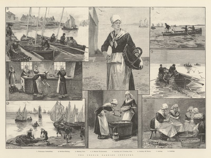 A indústria francesa da sardinha de William Heysham Overend
