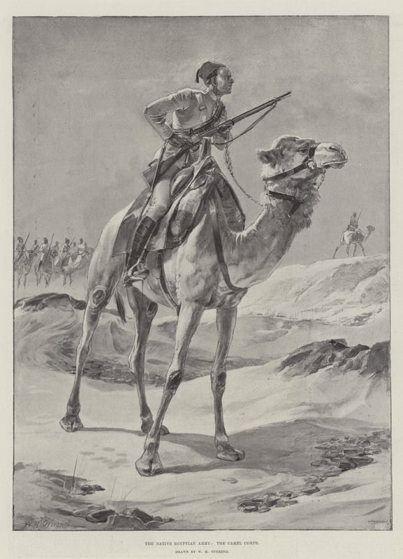 O Exército Egípcio Nativo, o Corpo de Camelo de William Heysham Overend