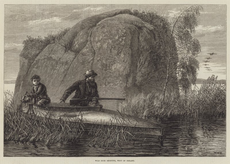 Tiro de pato selvagem, gravura do oeste da Irlanda de William Heysham Overend