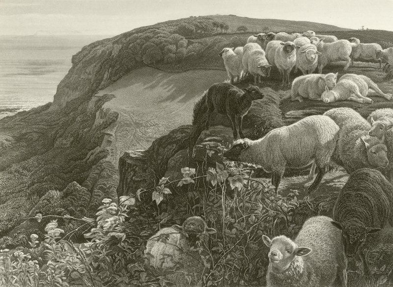 Na encosta (gravura) de William Holman Hunt