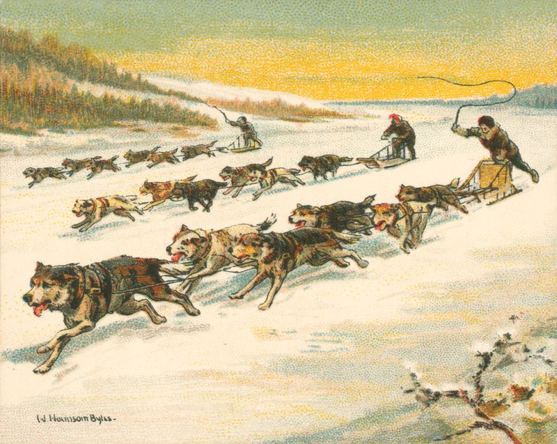 Raças Históricas e Modernas, Raças canadenses de trenó canino (chromolitho) de William Hounsom Byles