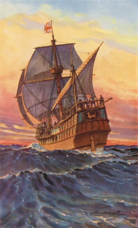 A Corça Dourada de Drake de William John Patton McDowell