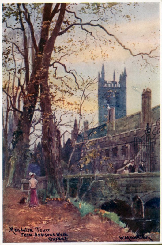 Magdalen Tower from Addison&39;s Walk de William Matthison