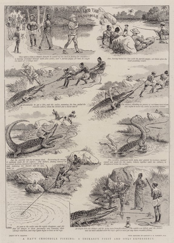 A pesca de crocodilos de um dia, a primeira e única experiência de um Shikari de William Ralston