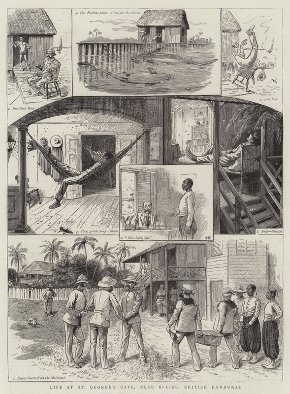 Vida, em, st george&39;s, caye, perto, belize, britânicas, honduras de William Ralston