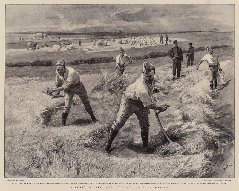 Um privilégio cobiçado, cativeiro Ganges Haymaking de William Small