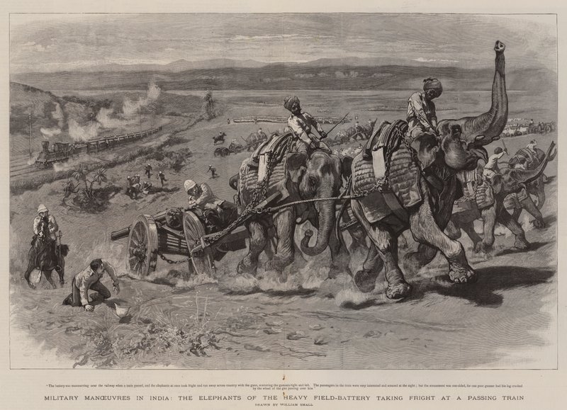 Manobras Militares na Índia, os Elefantes da Pesada Bateria de Campo, Assustando um Trem que Passa de William Small