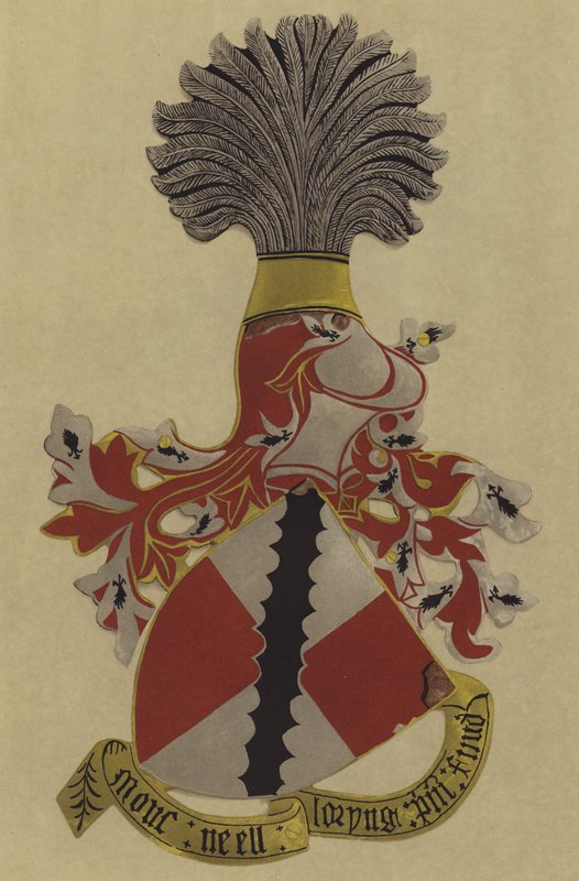 Sir Neel Loryng, 1348-1385-6 (cromolito) de William St John Hope