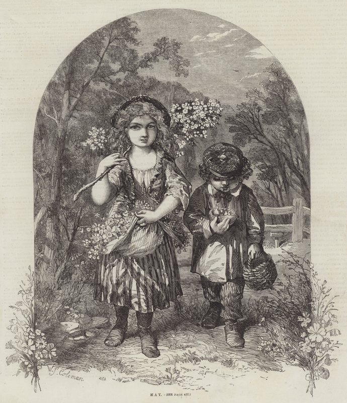 Maio de William Stephen Coleman