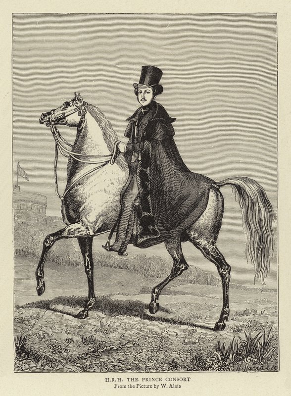 SAR o príncipe consorte de William Wolfe Alais