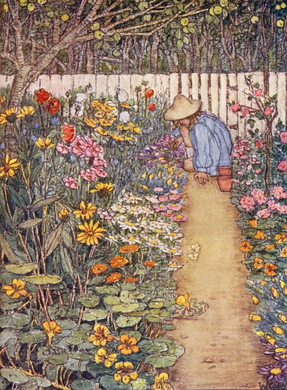 Livro infantil de jardinagem: Um canteiro de herbáceas (litografia a cores) de Winifred Cayley Robinson
