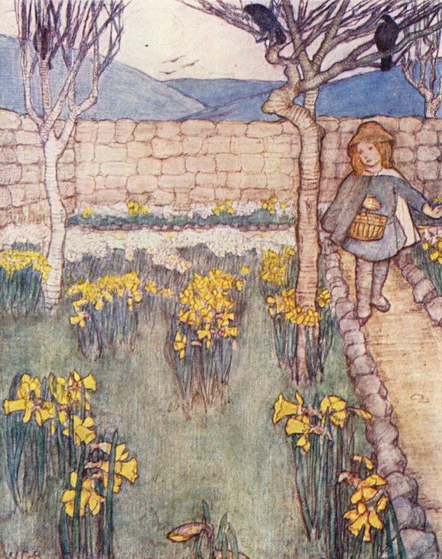 Livro infantil de jardinagem: Narcisos (litografia a cores) de Winifred Cayley Robinson