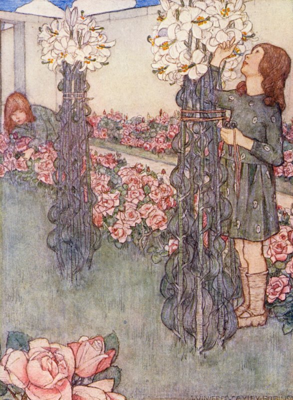 Livro infantil de jardinagem: Lírios e Rosas (litografia a cores) de Winifred Cayley Robinson