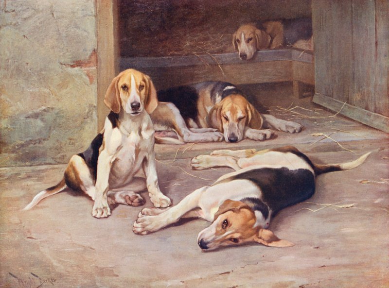 Dias do cachorro (litografia a cores) de Wright Barker
