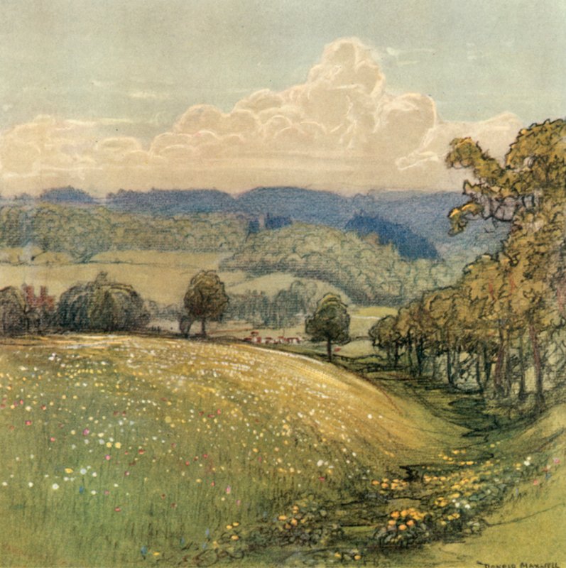 Sussex de after Donald Maxwell