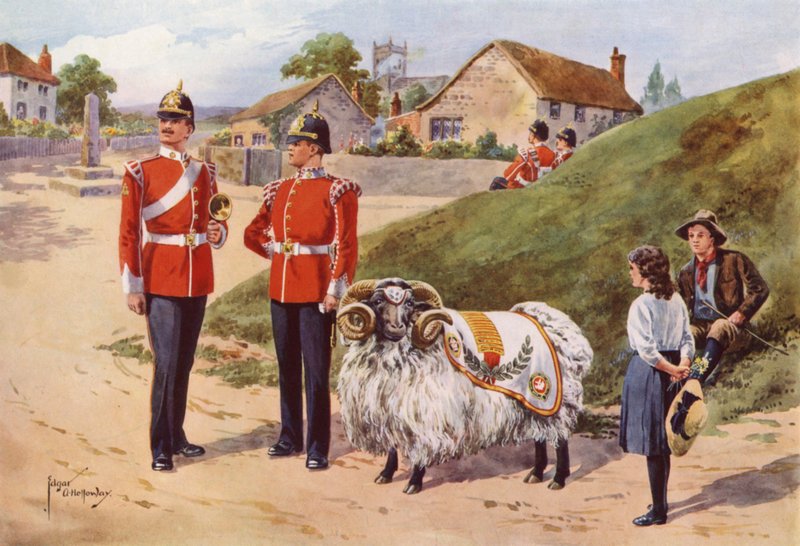 Derby Tom, o Carneiro dos Sherwood Foresters de after Edgar Alfred Holloway
