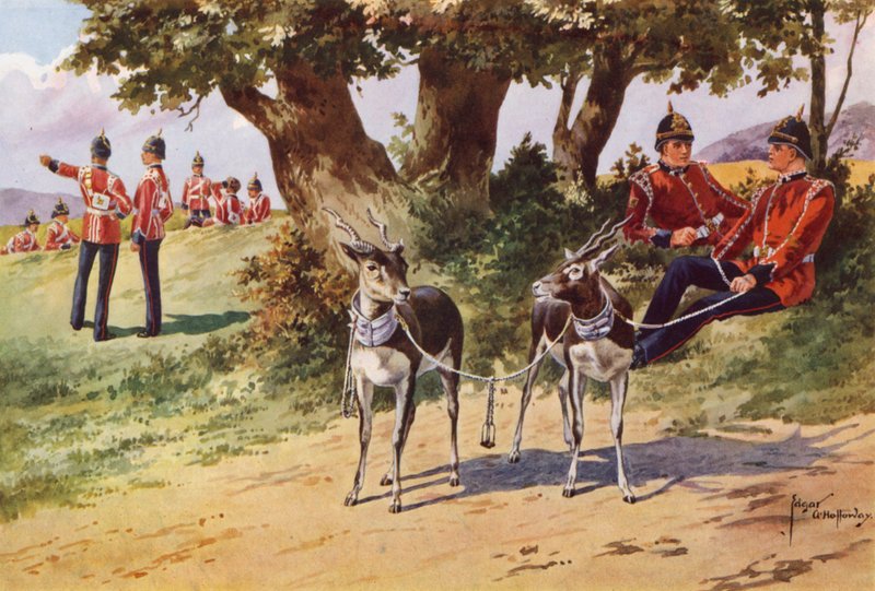 Os antílopes do animal de estimação do regimento real de Warwickshire de after Edgar Alfred Holloway