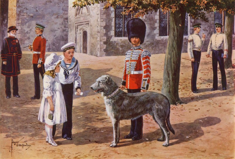 O Wolfhound Pet dos guardas irlandeses na Torre de Londres de after Edgar Alfred Holloway