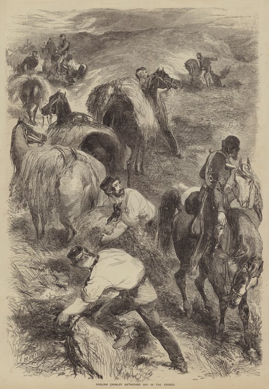 Cavalaria inglesa que recolhe o feno na Crimeia de after Edmond Morin