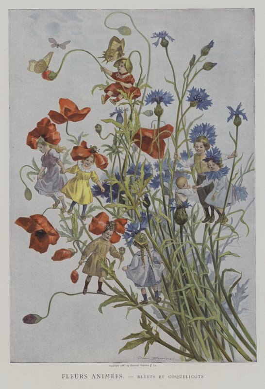 Fleurs Animees. Bluets et Coquelicots. (Flores animadas: flores e papoulas) de after Firmin Bouisset