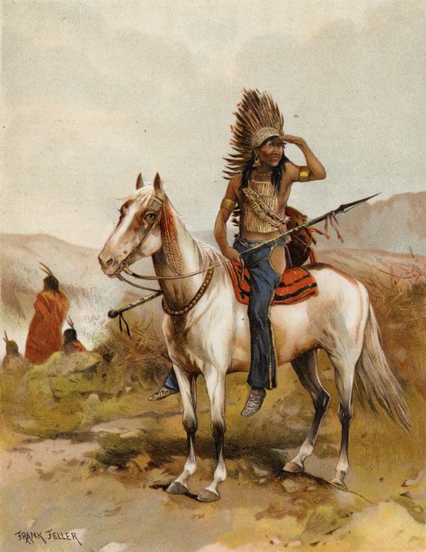 Um chefe indiano Sioux (cromolitho) de after Frank Feller