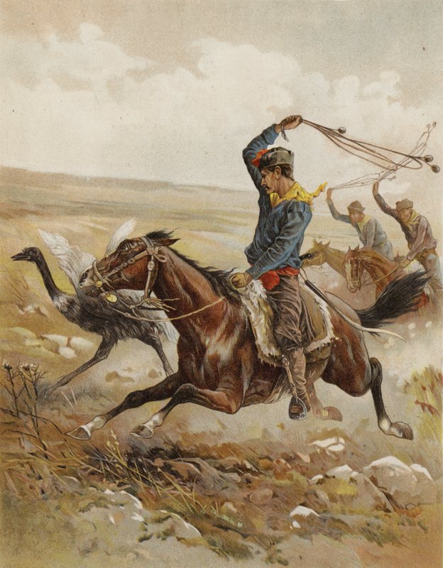 Caçando o avestruz, América do Sul (chromolitho) de after Frank Feller