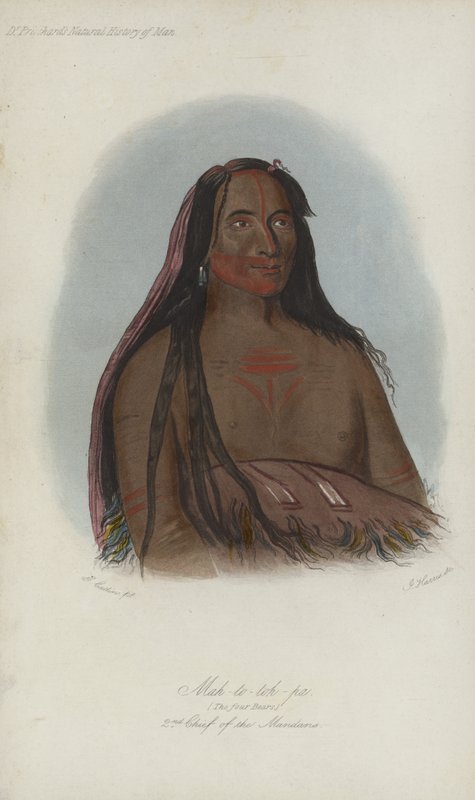 Mah-to-to-pa, Os Quatro Ursos, 2º Chefe dos Mandans (aquatint) de after George Catlin