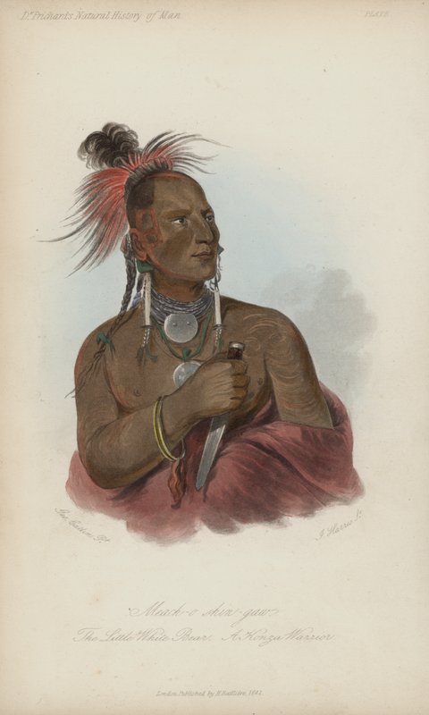 Meach-o shin-gaw, o pequeno urso branco, um guerreiro konza (aquatint) de after George Catlin