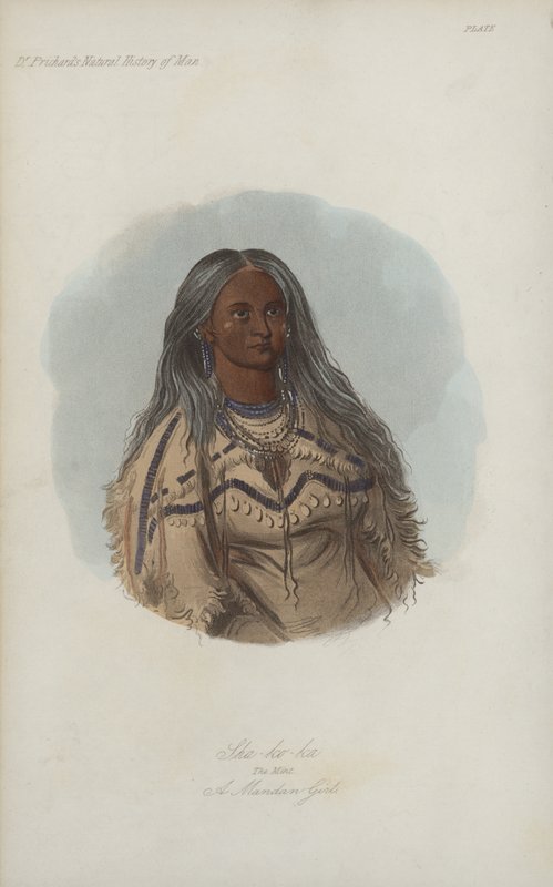 Sha-ko-ka, a hortelã, uma garota mandan (aquatint) de after George Catlin