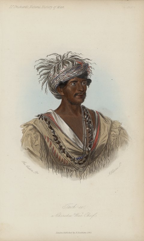 Tuch-ee, um chefe de guerra cherokee (aquatint) de after George Catlin