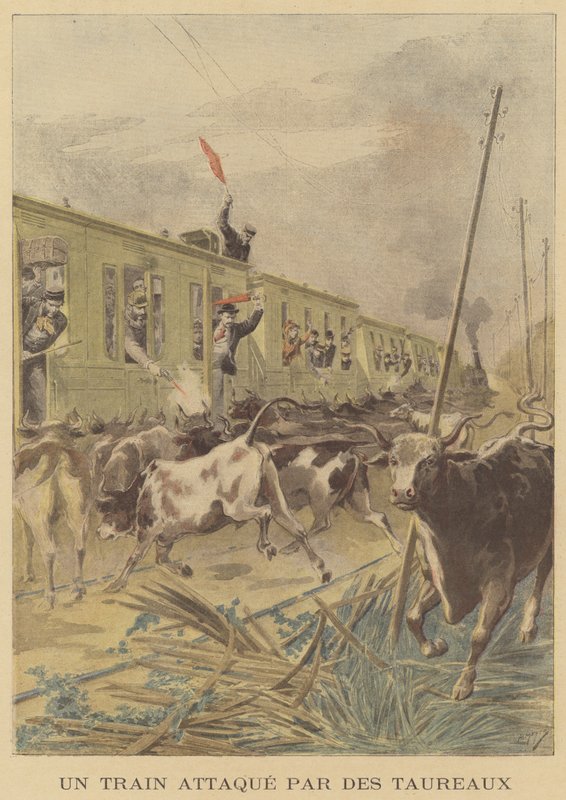 Um trem atacado por touros de after Henri Meyer