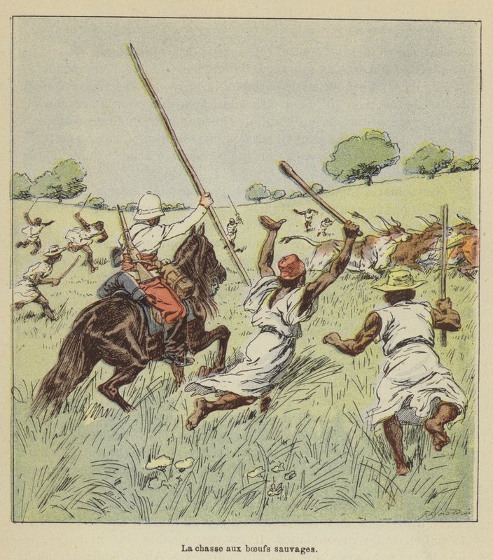 A caça de bois selvagens de after Louis Charles Bombled