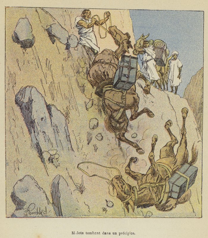 Tainha caindo em um precipício de after Louis Charles Bombled