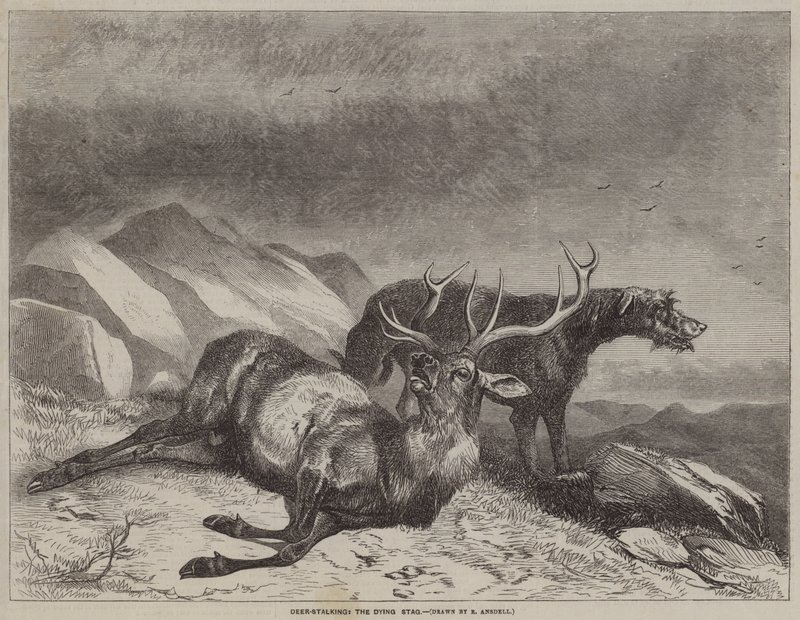 Deer-Stalking, o veado agonizante de after Richard Ansdell