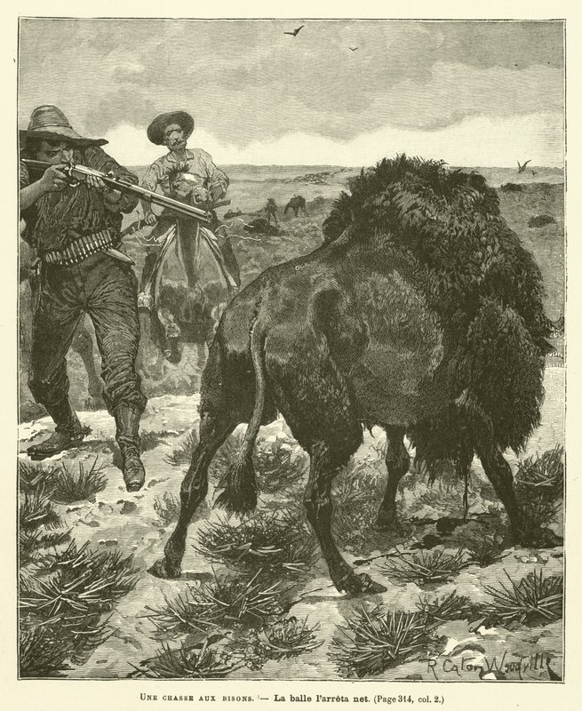 Uma caça ao bisonte de after Richard Caton II Woodville